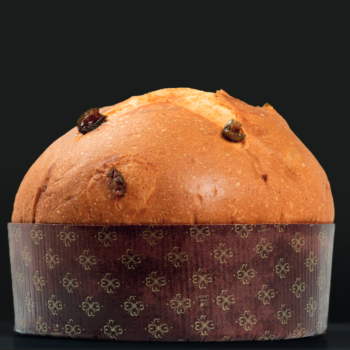 Focaccia di Tabiano OLIO EVO e canditi 1000 gr con scatola